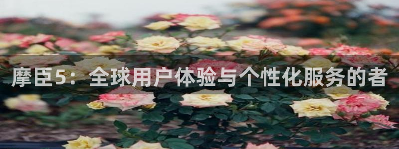 幸运彩平台
