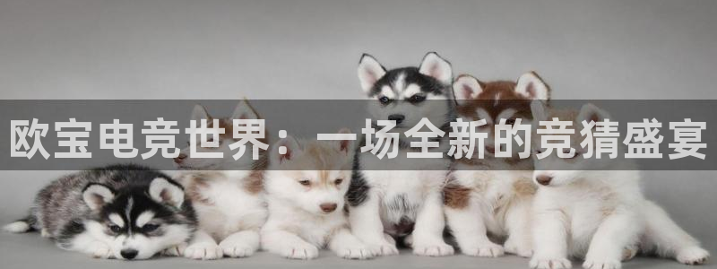 幸运彩welcome官网网