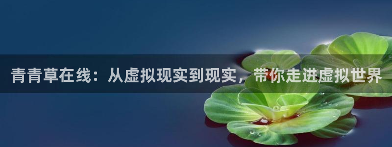幸运彩welcome官网入口app