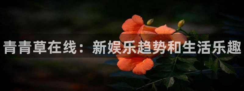 幸运彩9815