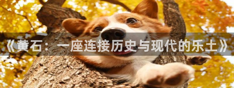 幸运彩welcome大厅购彩