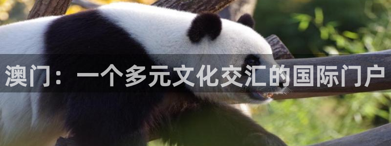 幸运彩平台网址