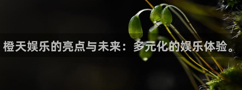 幸运彩官网：橙天娱乐的亮点与未来：多元化的娱乐体验。