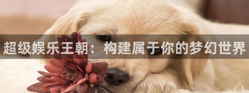 幸运彩welcome官网入口：超级娱乐王朝：构建属于你的梦幻世界