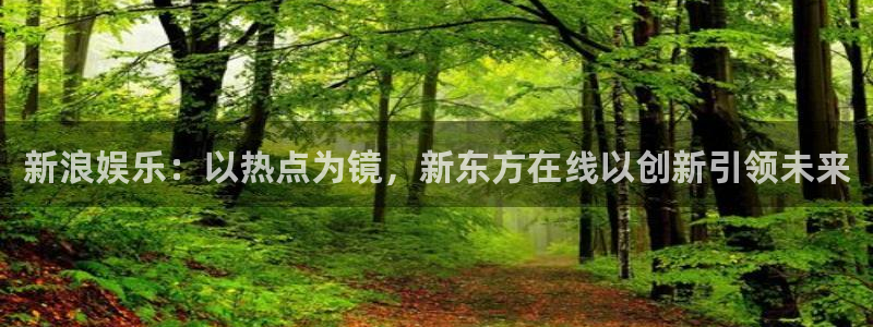 幸运彩welcome官网入口：新浪娱乐：以热点为镜，新东方在线以创新引领未来
