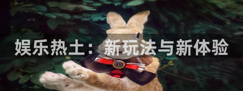 幸运彩最新版：娱乐热土：新玩法与新体验