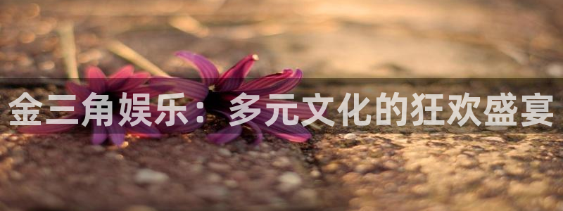 幸运彩平台网址：金三角娱乐：多元文化的狂欢盛宴