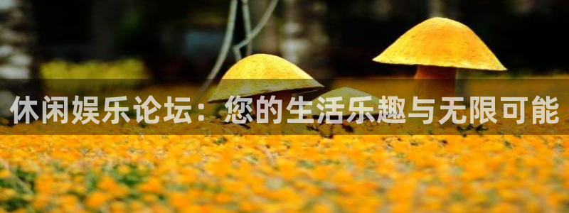 幸运彩官网：休闲娱乐论坛：您的生活乐趣与无限可能