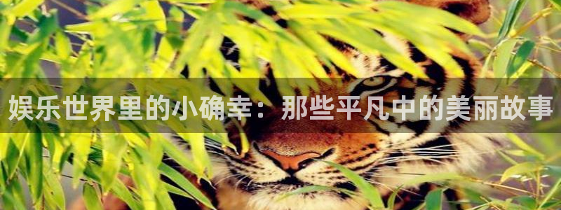 幸运彩网：娱乐世界里的小确幸：那些平凡中的美丽故事