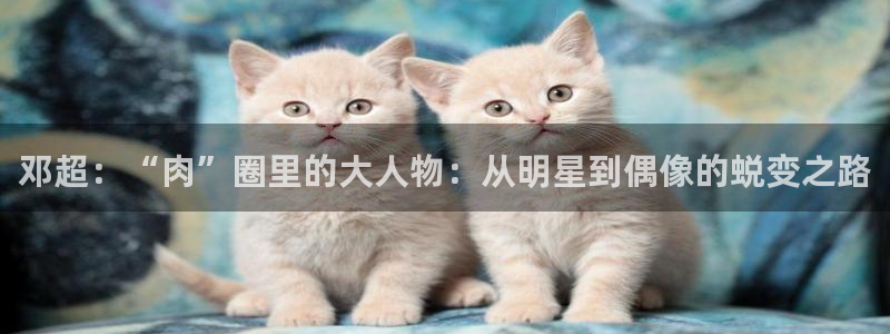 幸运彩网：邓超：“肉”圈里的大人物：从明星到偶像的蜕变之路