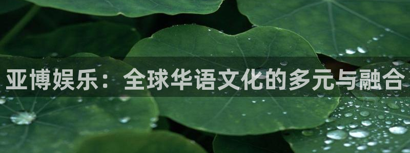 幸运彩网：亚博娱乐：全球华语文化的多元与融合