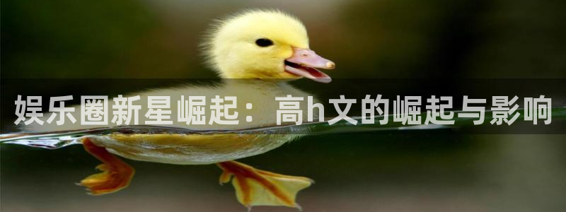 幸运彩welcome官网入口：娱乐圈新星崛起：高h文的崛起与影响